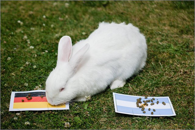 Cały Microsoft trzyma kciuki za Niemców w finale mundialu.