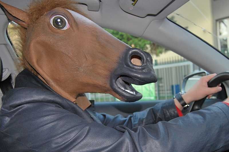 "Człowiek koń" walczy z zawłaszczaniem przestrzeni publicznej przez zwolenników Jarosława Kaczyńskiego