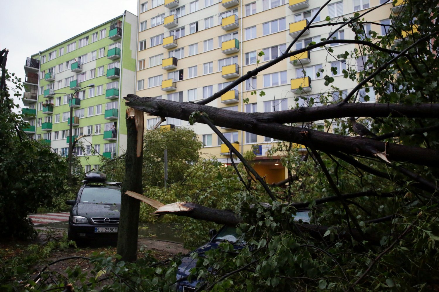 W nocy z piątku na sobotę przez kraj przeszły gwałtowne burze, którym towarzyszył silny wiatr. (zdjęcie ilustracyjne)