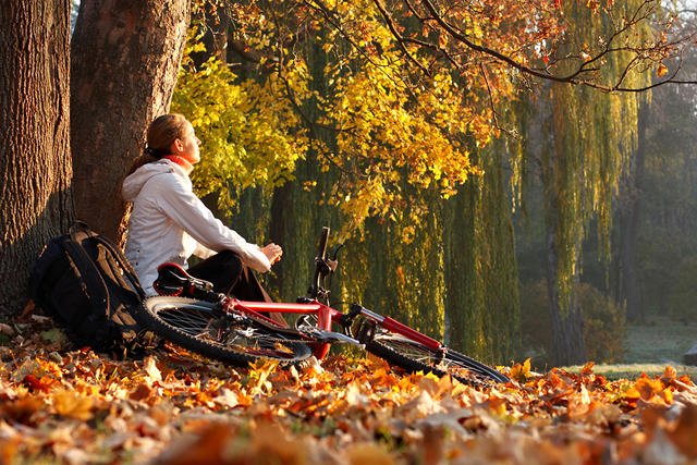 [url=http://tinyurl.com/p5k57ga] Sporty na jesień [/url]