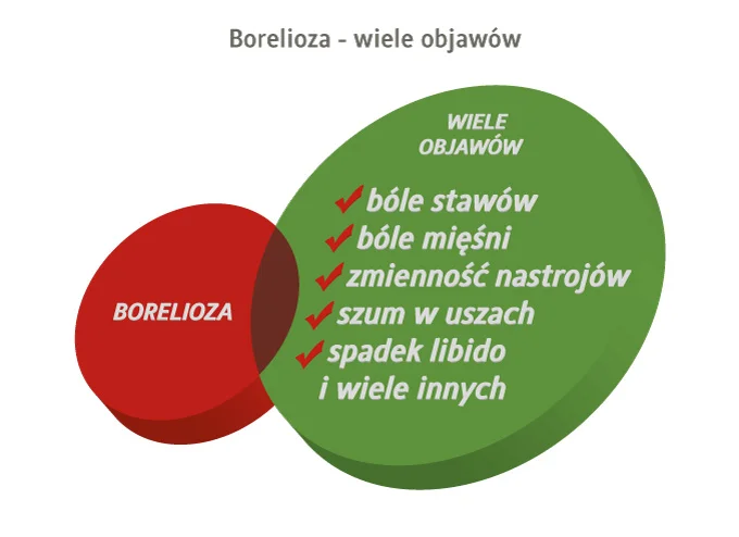 borelioza a objawy