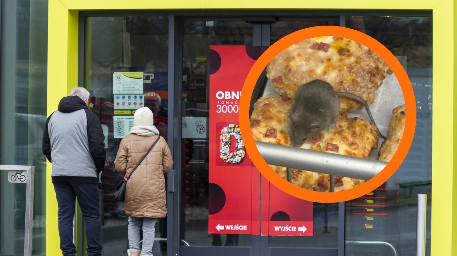 Myszy znów w tej samej Biedronce w Ostrowie Wielkopolskim. Sieć ma tam problem z myszami