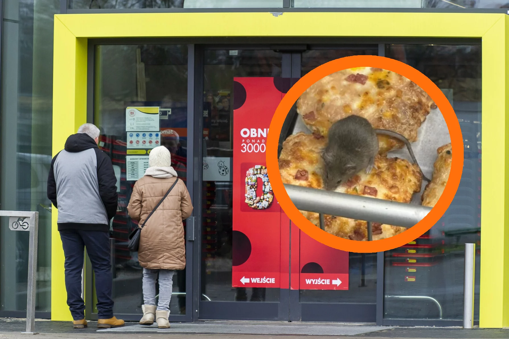Znów zamknięto Biedronkę w Ostrowie Wielkopolskim. Sieć ma tam problem z myszami Myszy znów w tej samej Biedronce w Ostrowie Wielkopolskim. Sieć ma tam problem z myszami