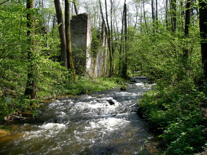 Rezerwat "Czartowe Pole" z fragmentami ruin starej papierni.