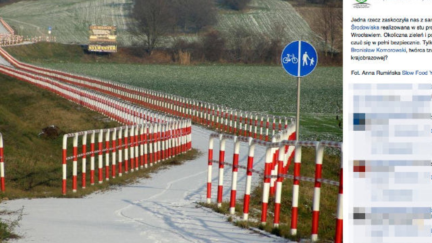 Barierki odgradzające rowerzystów od pola i trawnika zyskały w internecie niemały rozgłos