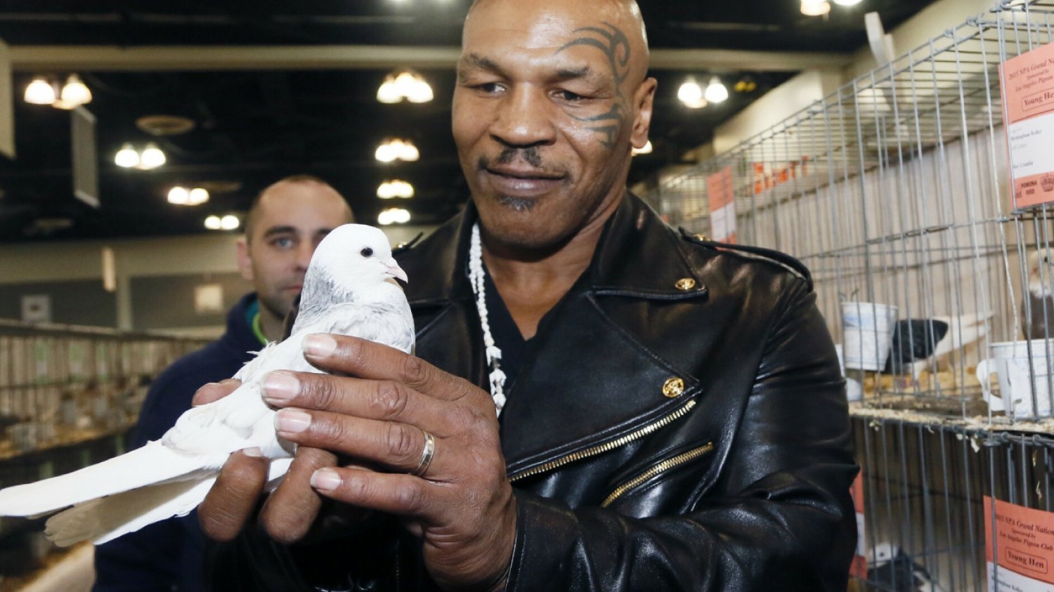 Mike Tyson w Polsce. Amerykański pięściarz przyleciał po gołębie.