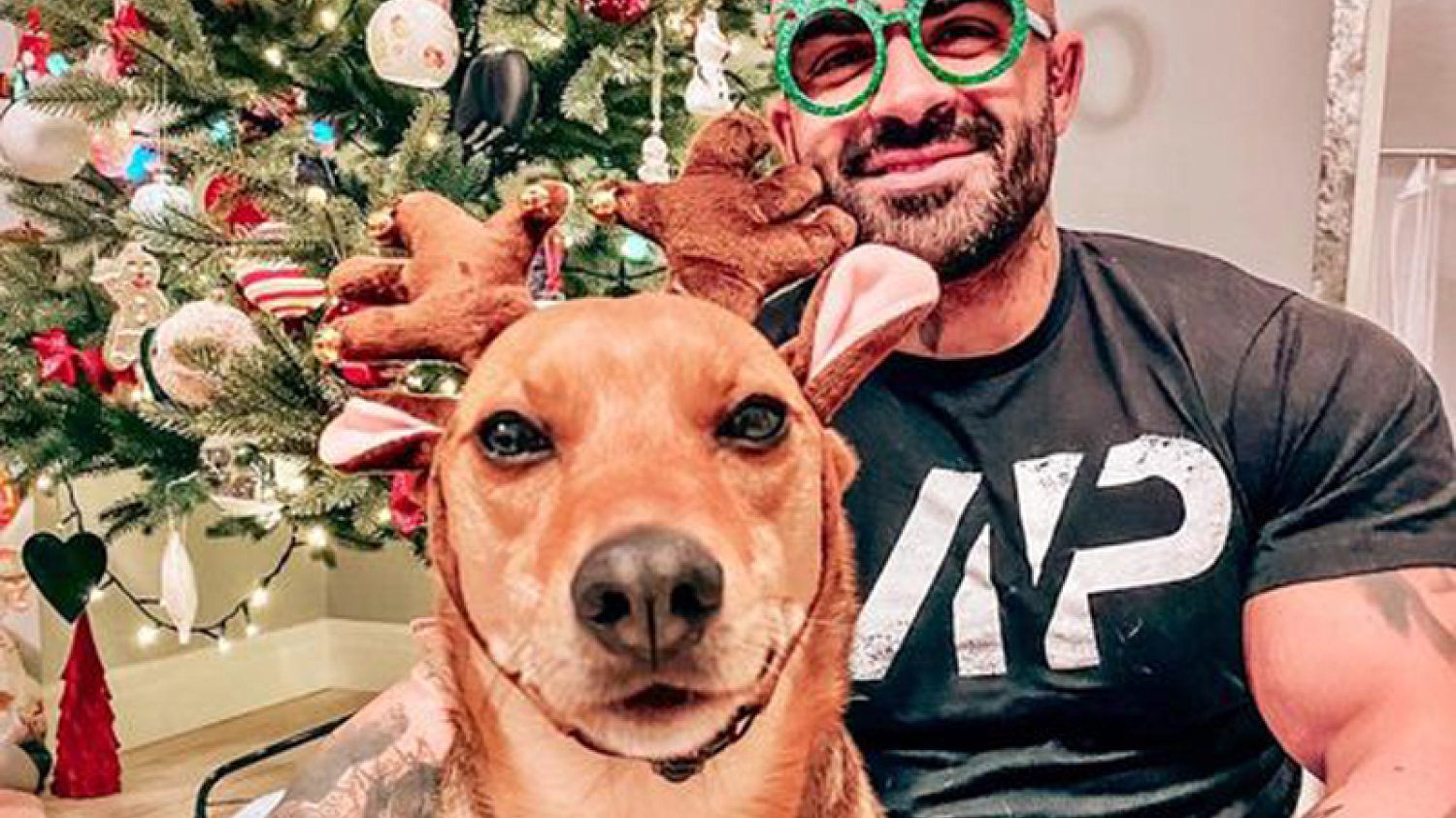 Akop Szostak, znany trener, influencer i zawodnik MMA już ubrał choinkę.