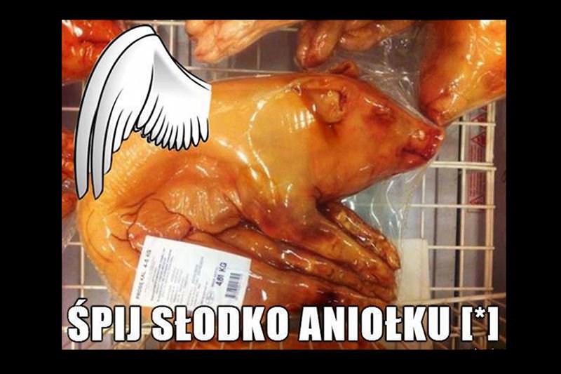 "Prosiaki z makro" podzieliły mięsożerców i wegetarian