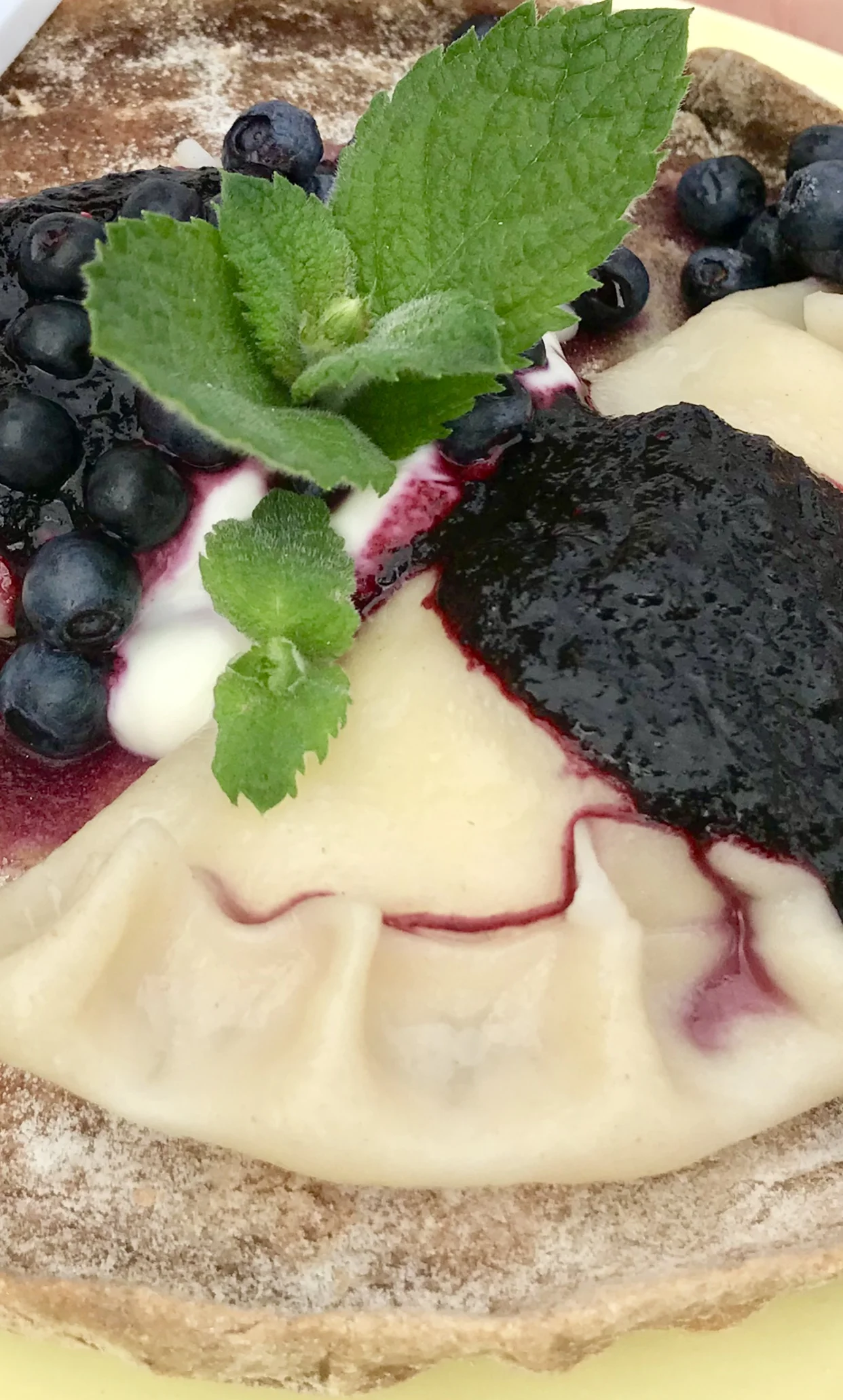 Pierogi z twarogiem i sosem jagodowym od koła gospodyń ze Studzieńca