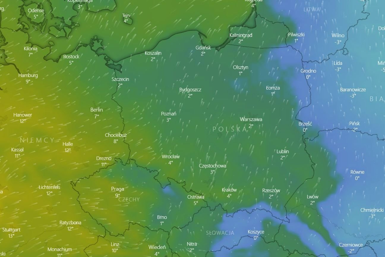 W Sylwestra i Nowy Rok ma być w Polsce nawet 12 stopni - podaje IMGW.