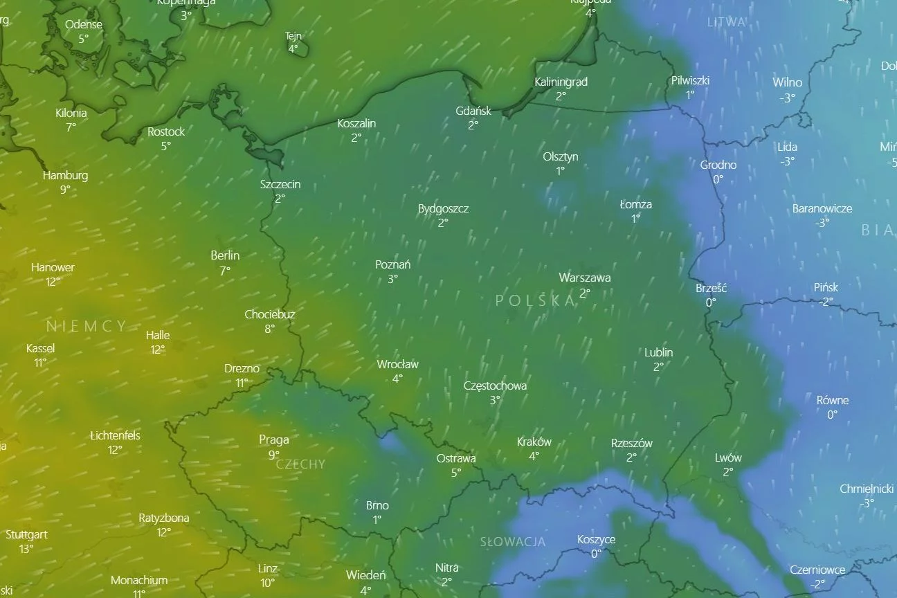 W Sylwestra i Nowy Rok ma być w Polsce nawet 12 stopni - podaje IMGW.