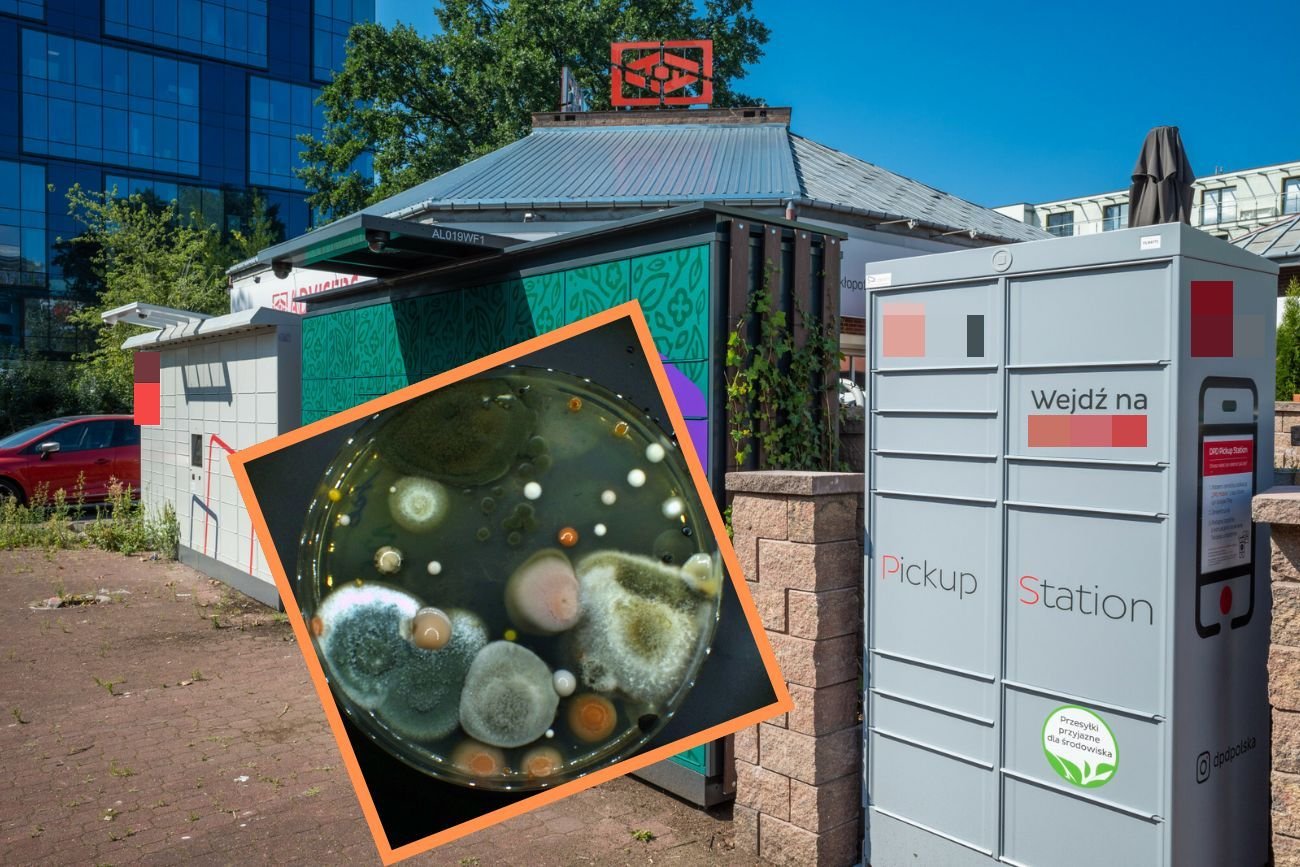 Czy automaty paczkowe są wylęgarnią bakterii i patogenów?