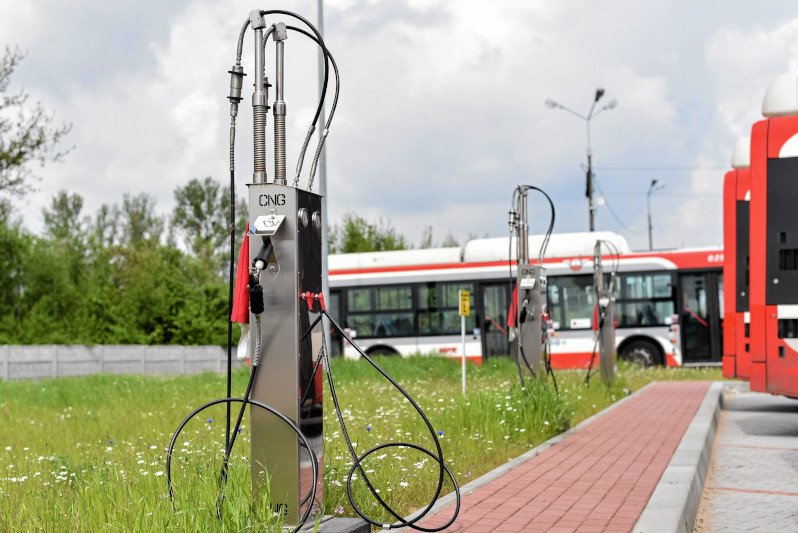 Wójt Rymania Terlecki wykorzysta sławę "instrybutora". Postawi mu pomnik.