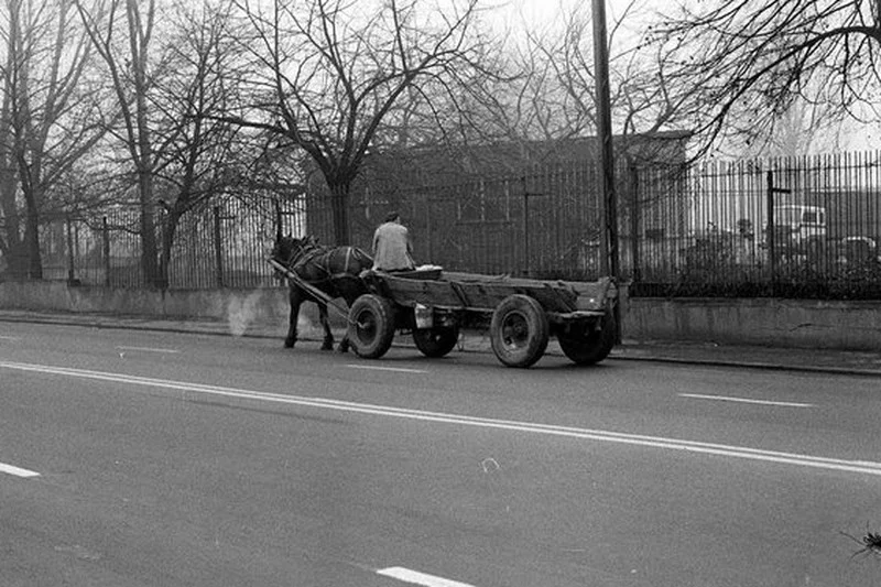 Ulica Warszawy w 1990 roku. Dziś koński zaprzęg w stolicy to niezwykle rzadki widok.