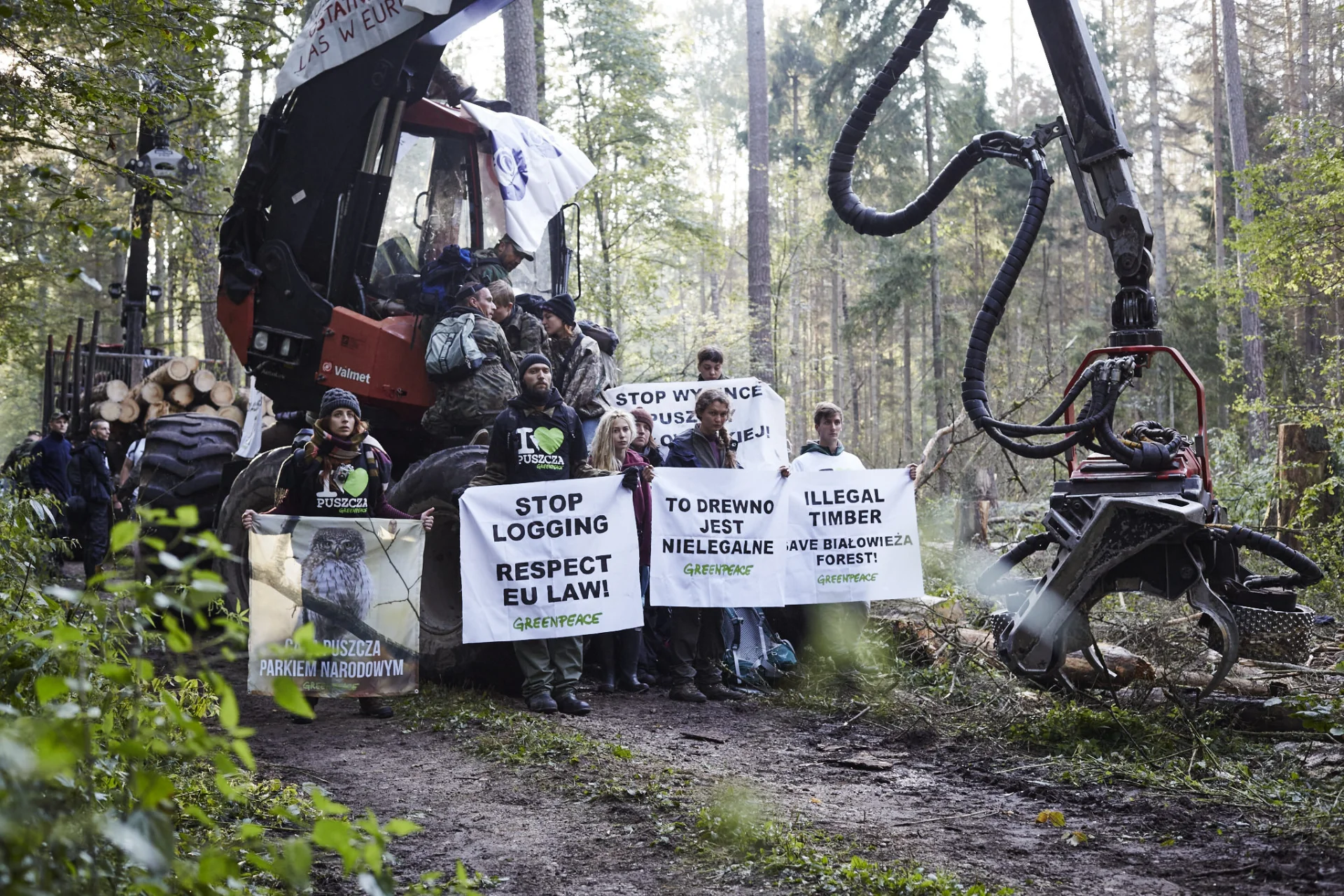 Blokada nielegalnej wycinki w Puszczy Białowieskiej. W blokadzie brali udział aktywiście i aktywistki z kilkunastu państw.