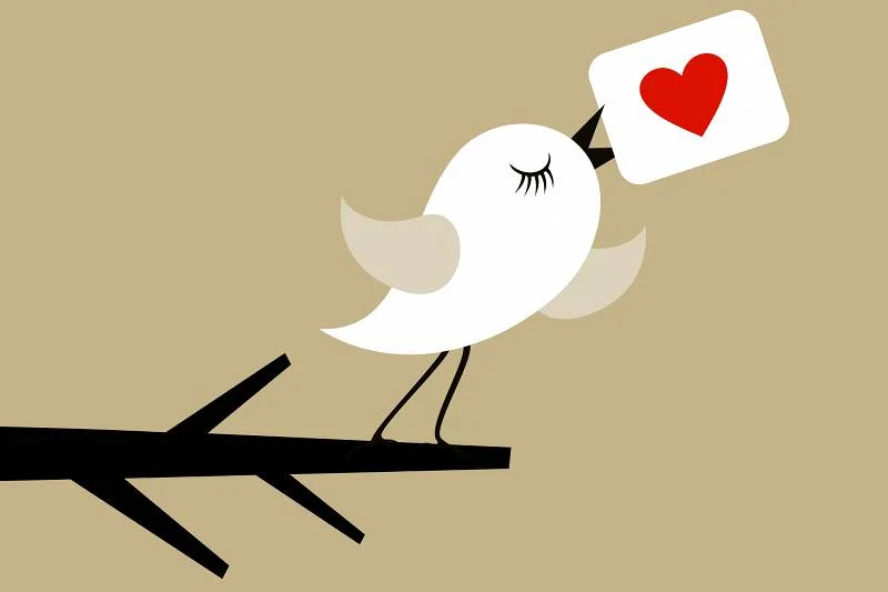 Choć od powstania serwisu minęło 7 lat, Polacy wciąż nie przekonali się do używania Twittera.