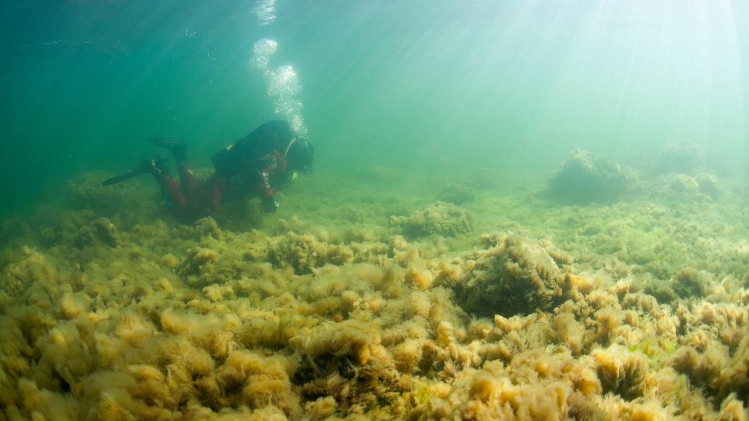 Bałtyk skrywa niezły skarb. Polska swych interesów musi strzec aż z kosmosu