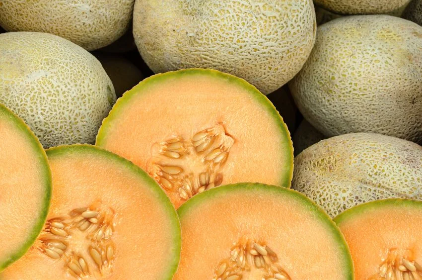 Melony to jeden z najbardziej opłacalnych produktów, jakie możemy kupić w Biedronce.