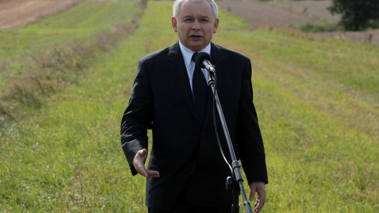 Sprawdziliśmy, czy politycy PiS mają rację ws. pracy przy zbieraniu szparagów.
