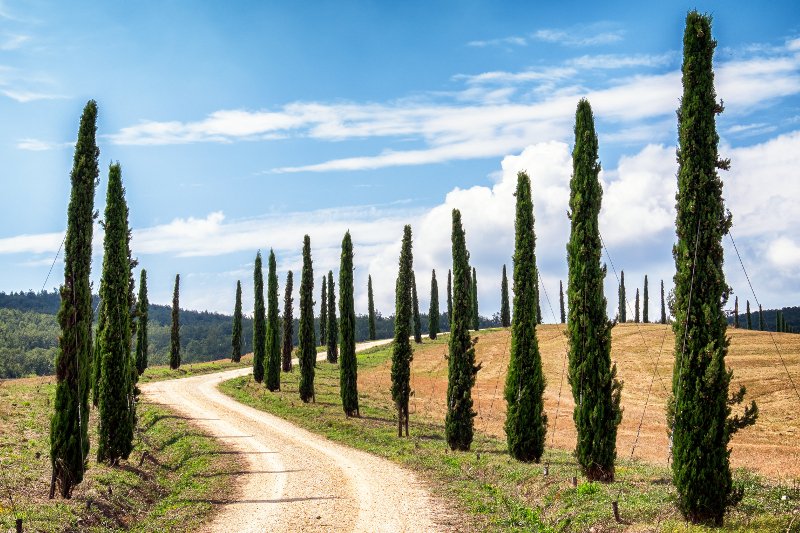 Toskańczycy są niezawodoleni, bo hordy turystów i osiedlający się w ich regionie obcokrajowcy zadeptują Toskanię.