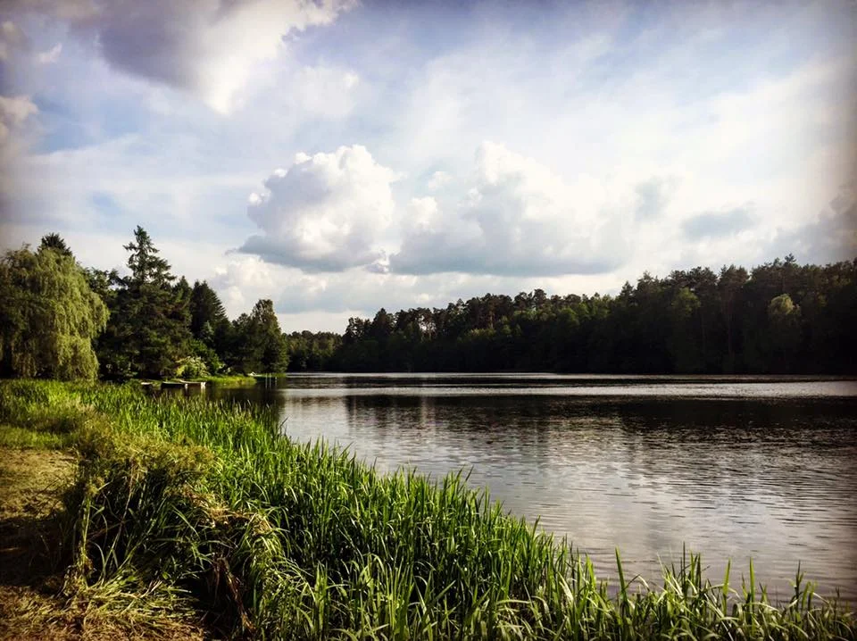 Okolica Przystanku Tleń