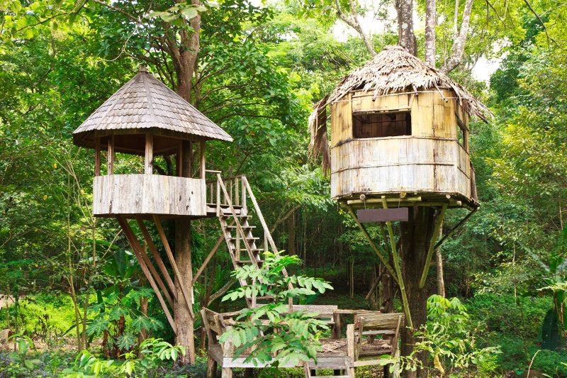 Nietypowy nocleg zyskuje zwolenników.