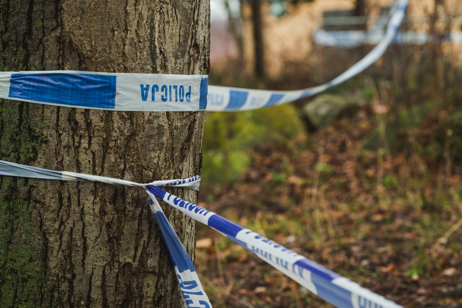 Taśma policyjna, zdjęcie ilustracyjne