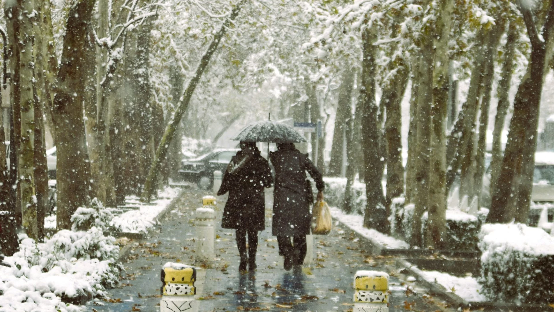 prognoza pogody na 14 dni zima w Polsce