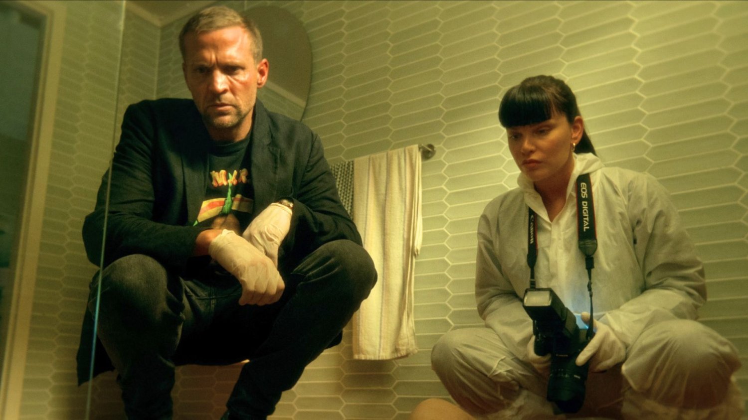 serial Harry Hole