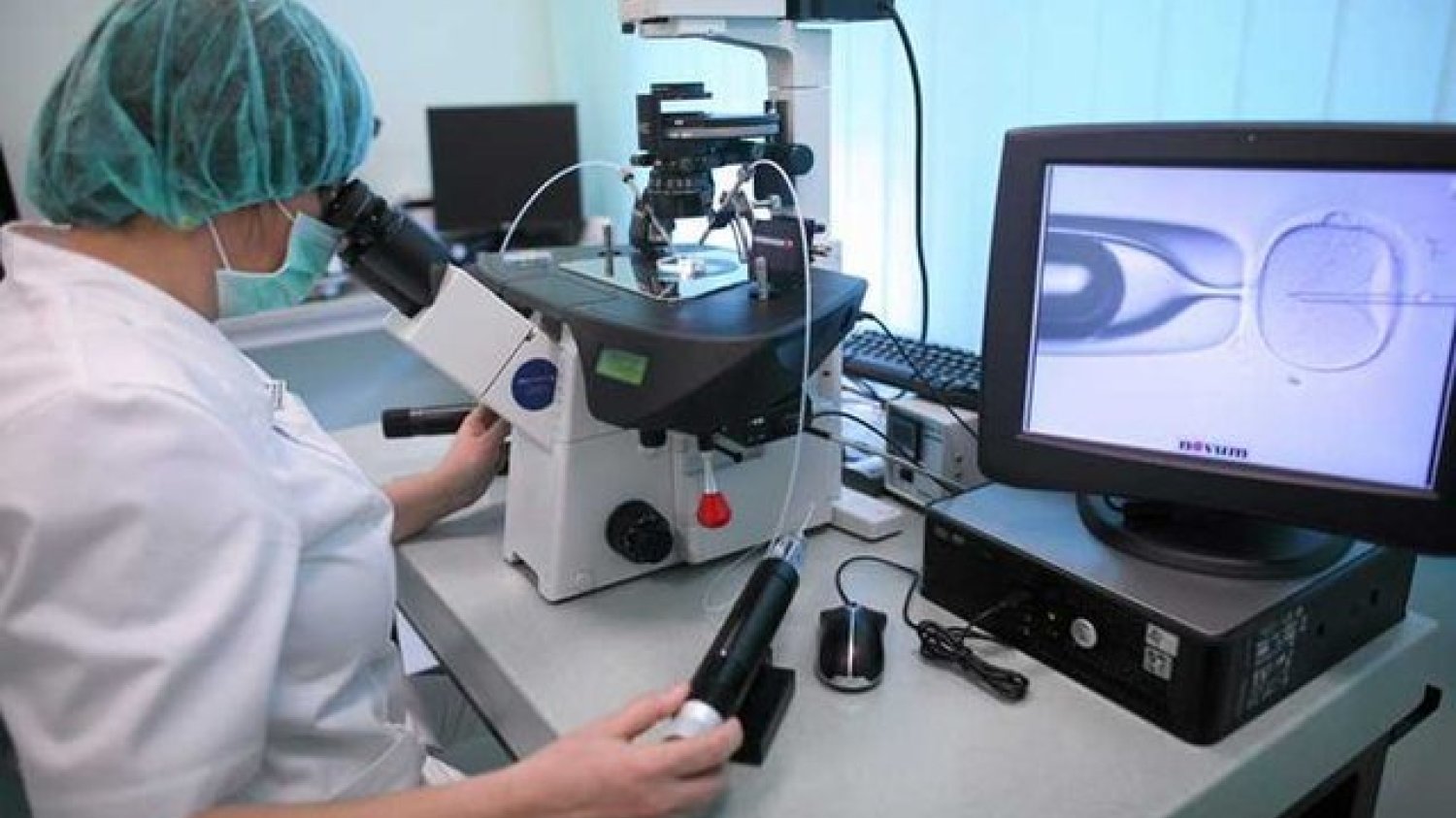 W myśl projektu ustawy o in vitro, przygotowanego przez resort zdrowia, z refundacji tej metody będą mogły skorzystać nie tylko małżeństwa, ale i pary w nieformalnych związkach. Proponowane przepisy kładą duży nacisk na bezpieczeństwo i ochronę zarodków.