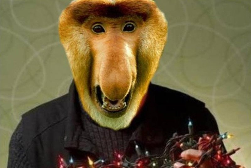 My Polacy, naprawdę mamy swoje różne, dziwne jazdy.