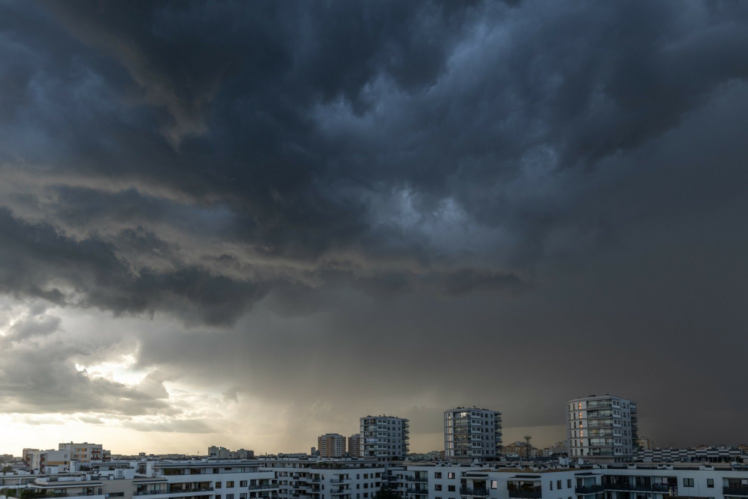 Zdjęcie jest ilustracją do treści.