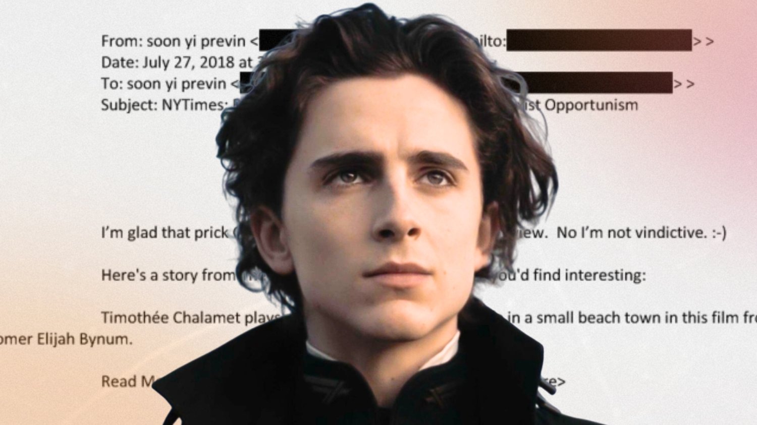 Chalamet nazwany "palantem" w aktach Epsteina. To odwet żony słynnego reżysera?