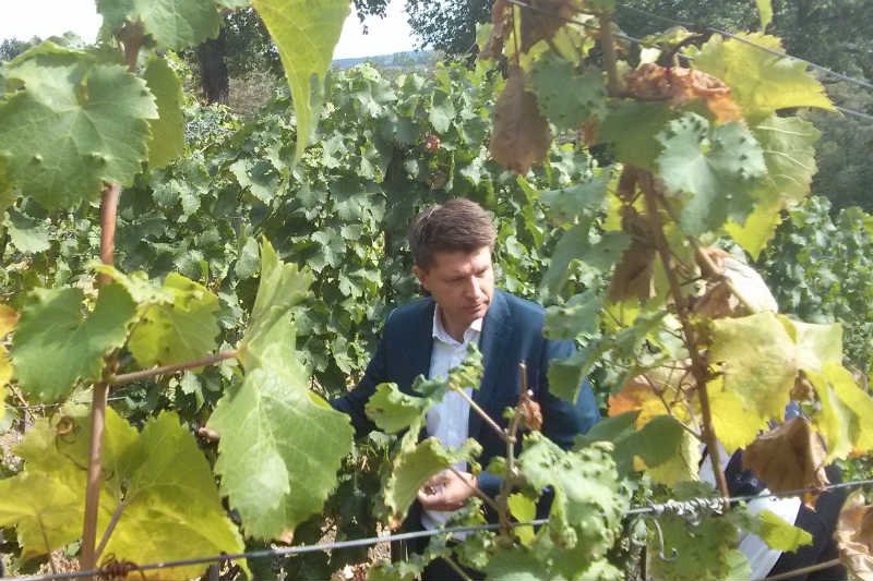 Kampanijny wyjazd do lubuskiego pokazał szanse i słabości ruchu Ryszarda Petru.