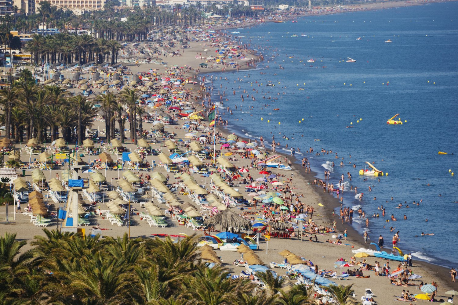 U brzegu Andaluzji pojawił się rekin i wystraszył turystów.