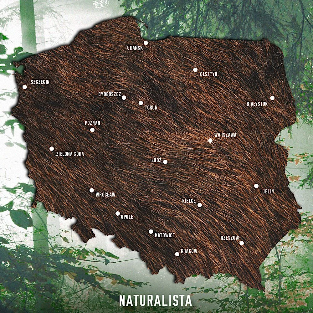 Oto miejsca, które mogą zjeżyć włosy na głowie.