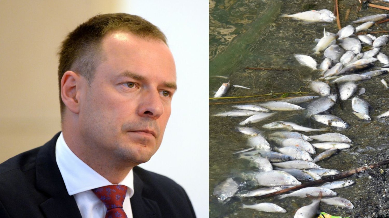 Poseł KO Piotr Borys.
