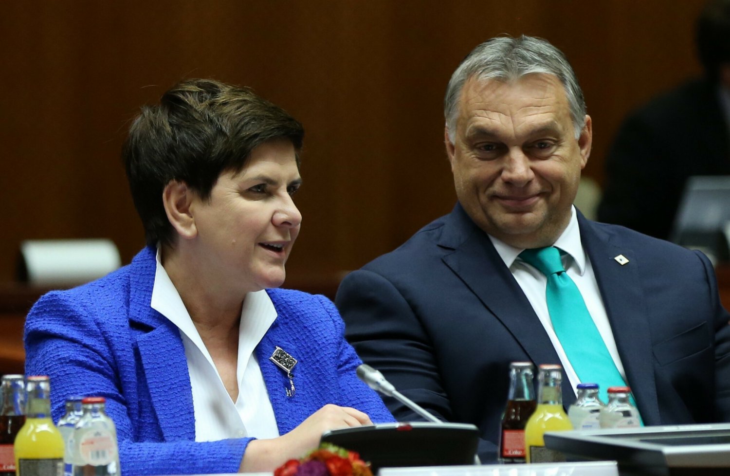 Beata Szydło w przemówieniu w Parlamencie Europejskim stwierdziła, że Zachód działa tak, jakby wspierał Władimira Putina.