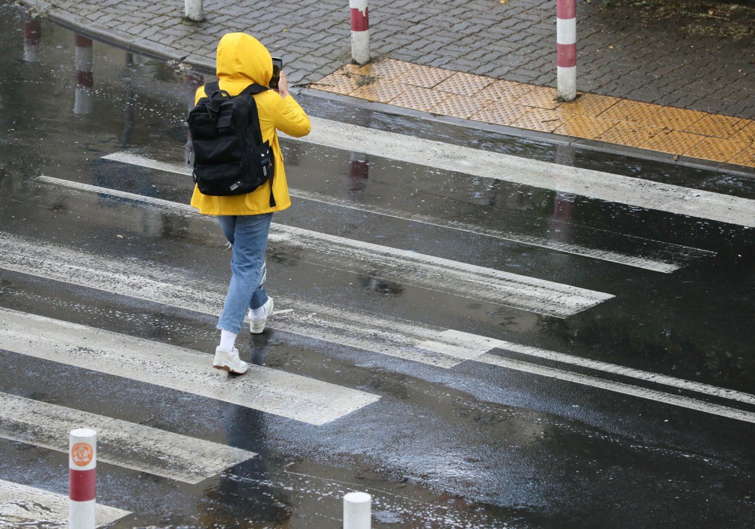 Czy Polacy powinni podnosić rękę przed przejściem dla pieszych?