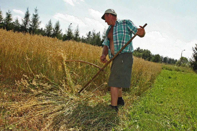 Tylko PiS i PSL umiały naprawdę przemówić do rolników. Inne partie tematyki z nimi związanej nie poruszały, bądź poruszały ją nieudolnie.