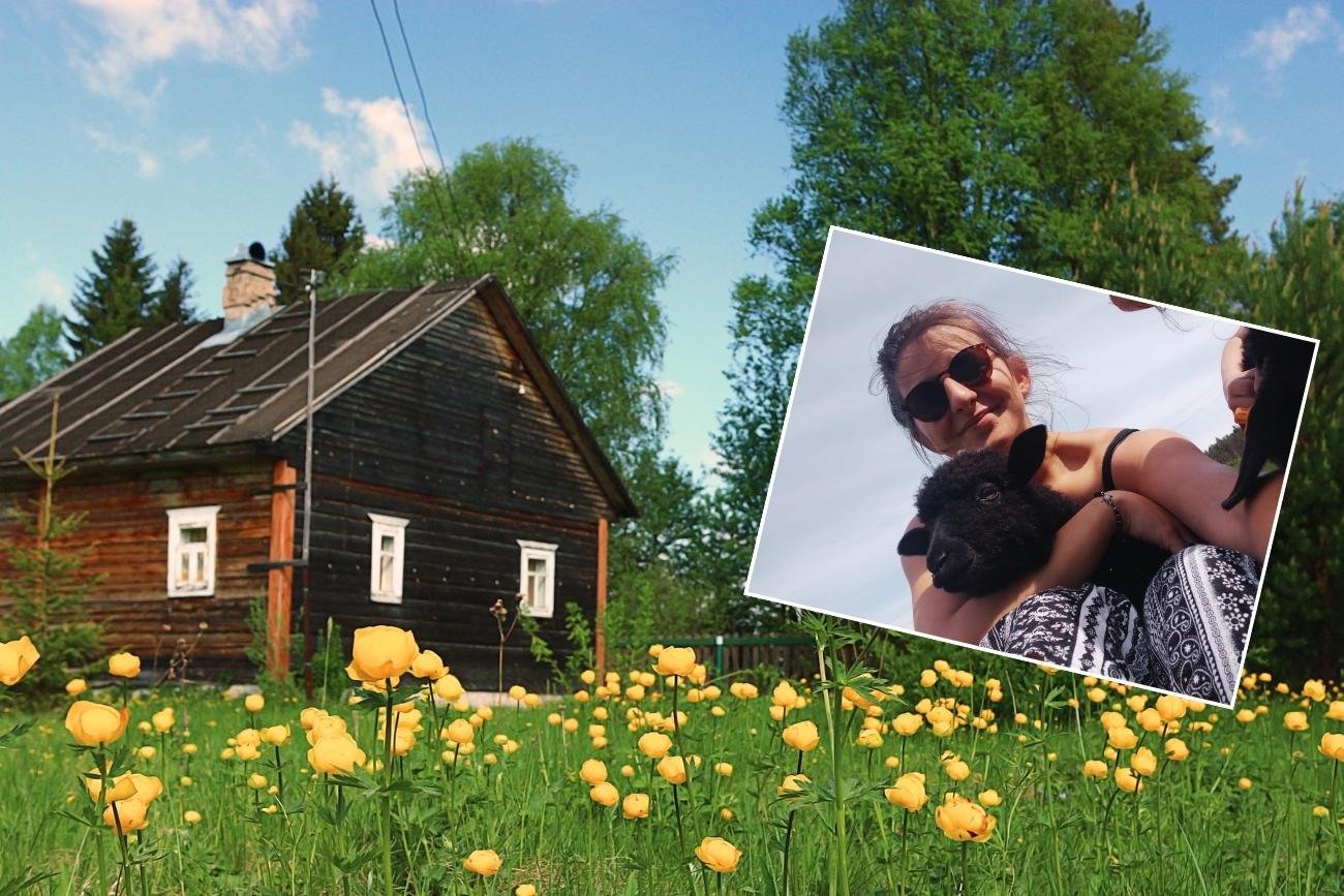 Podczas house sittingu możemy opiekować się nie tylko kotami i psami, ale także... owcami