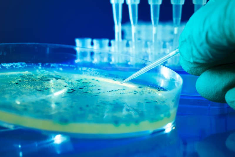 Bakterie odporne na antybiotyki to nowe zagrożenie – ostrzega WHO