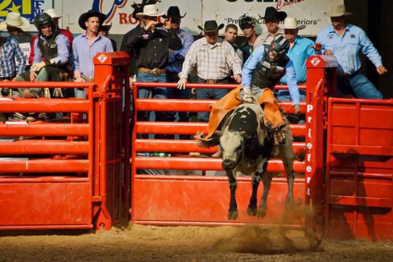 Teksas chce odłączyć się od USA. Obywatelom tego stanu nie podoba się reelekcja Baracka Obamy.