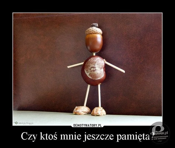 Kasztany i zapałki, czyli praca domowa