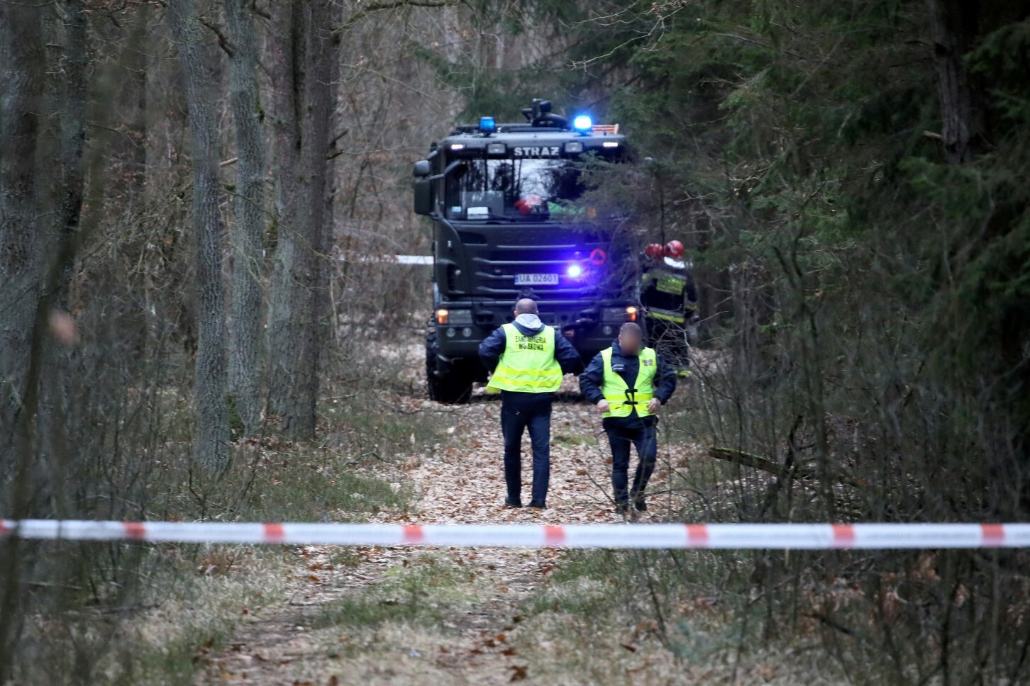 Służby podczas prac w lesie. Zdjęcie ilustracyjne.