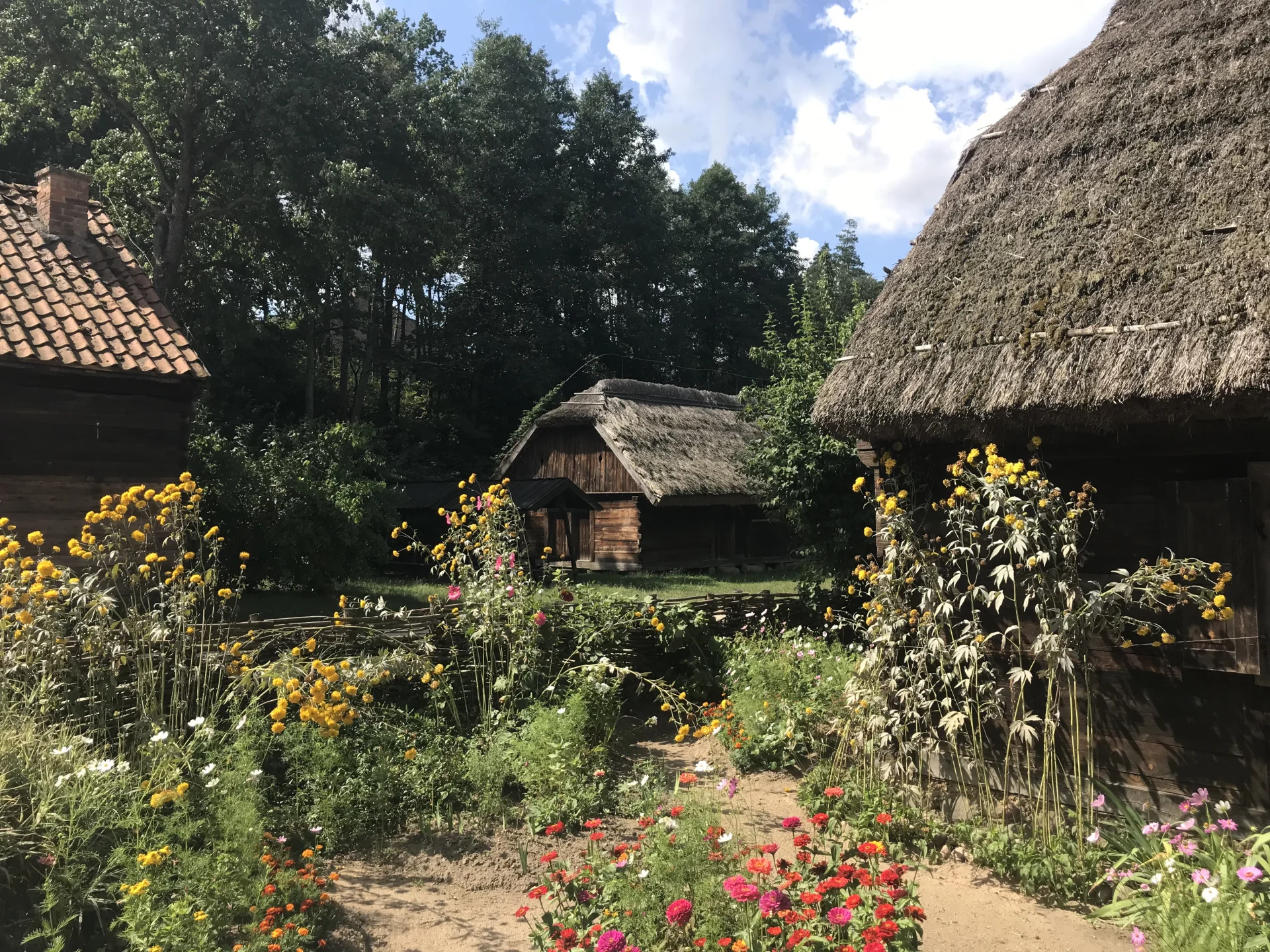 Skansen w Sierpcu