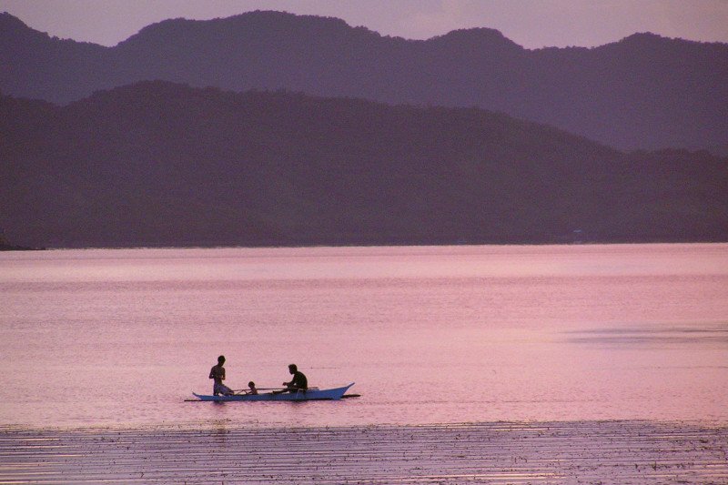 Firma Procter & Gamble deklaruje, że nie tylko ograniczy emisję gazów cieplarnianych o 50 procent, ale także będzie wdrażała naturalne rozwiązania klimatyczne, które pozwolą jej zbilansować pozostałą część emisji w ciągu najbliższych 10 lat