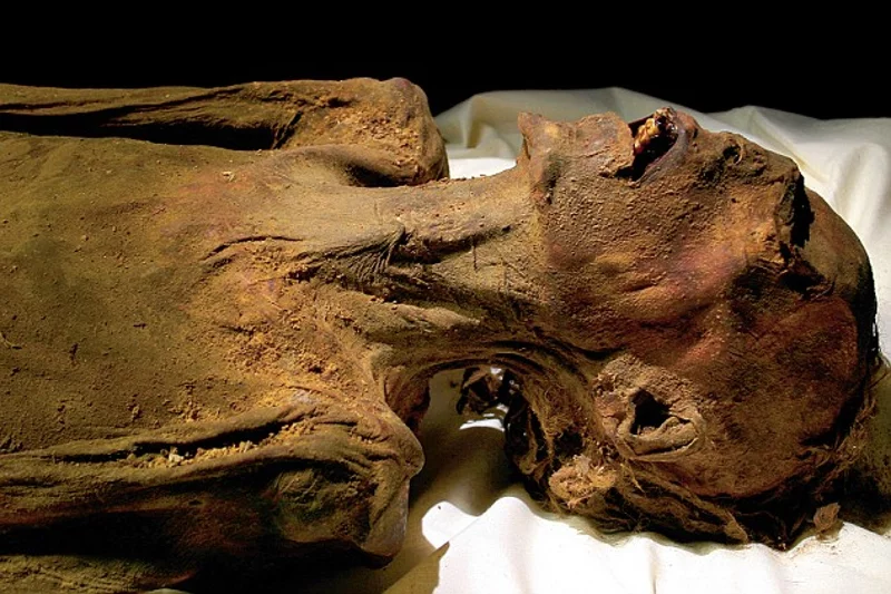 Odkryta w 1886 roku ''Krzycząca Mumia" to przypuszczalnie zwłoki syna Ramzesa III, który za spisek przeciwko ojcu, a także prawdopodobny mord na faraonie, został skazany na śmierć
