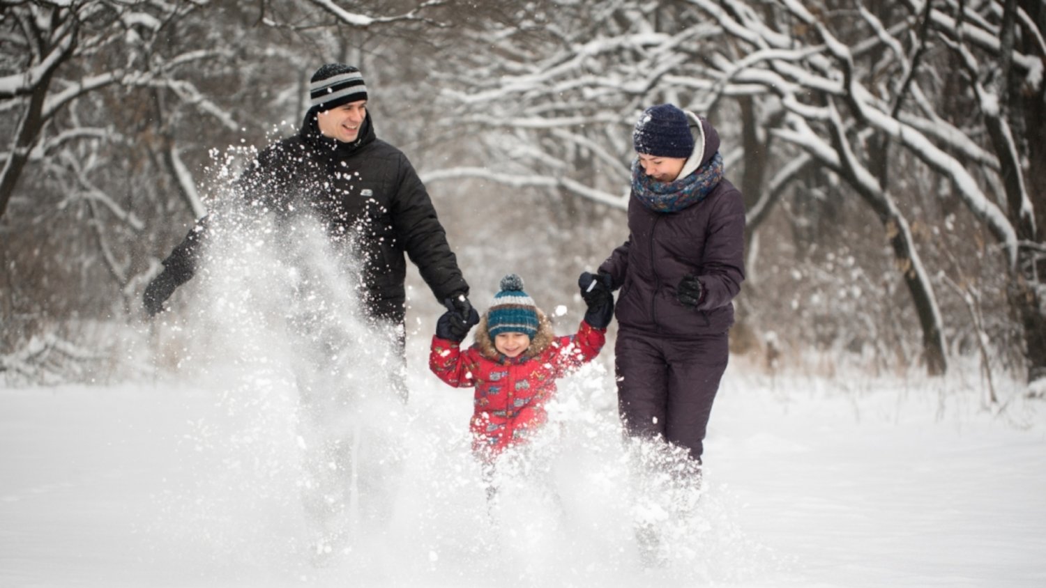Plan na udane ferie w Jeleniej Górze – przewodnik po noclegach i atrakcjach
