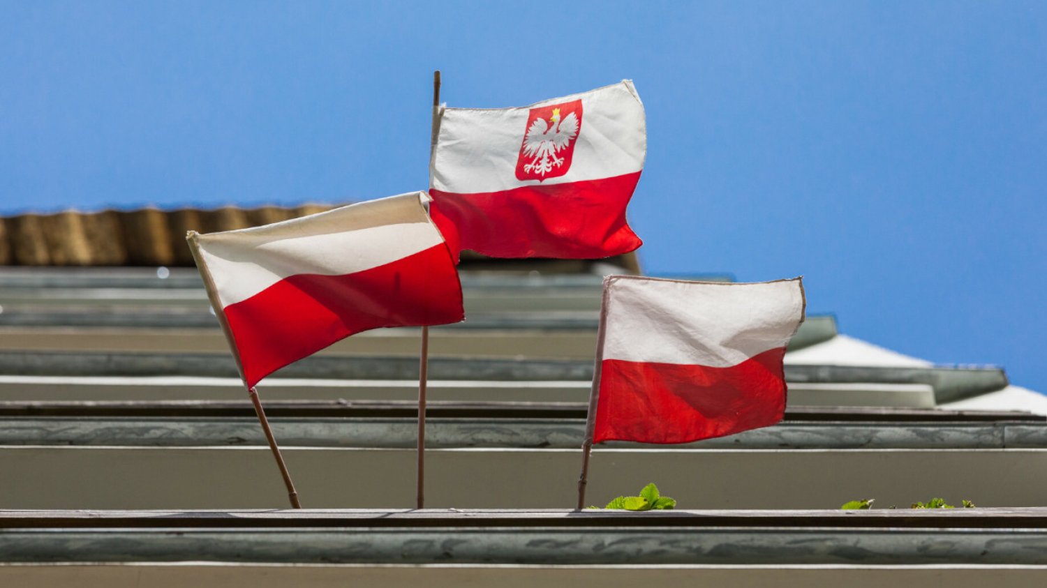Flaga Polski jako... niebezpieczna pułapka? Nietypowy komunikat parku narodowego polskie flagi